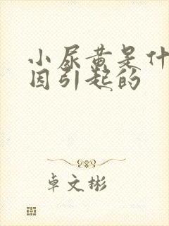 小尿黄是什么原因引起的