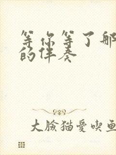 等你等了那么久的伴奏