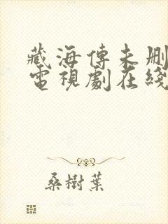 藏海传未删减版电视剧在线观看