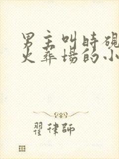 男主叫时砚追妻火葬场的小说