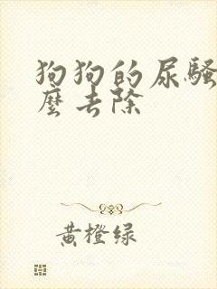 狗狗的尿骚味怎么去除封面