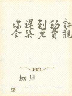 你迟到的许多年全集免费观看