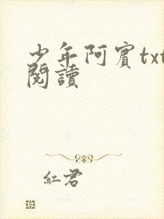 少年阿宾txt阅读封面