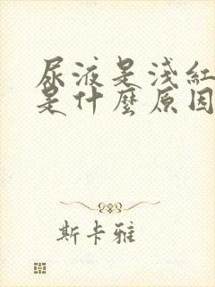 尿液是浅红色的是什么原因造成的封面