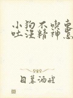 小狗不吃东西呕吐没精神怎么办