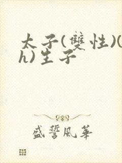 太子(双性)(h)生子封面
