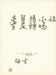 老舅杨小姐结局有反转吗