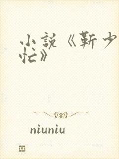 小说《靳少追妻忙》