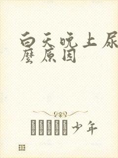 白天晚上尿频什么原因