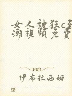 女人被狂c到高潮视频免费视频