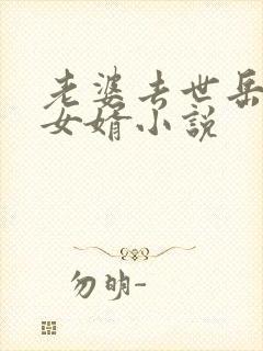 老婆去世岳母和女婿小说封面