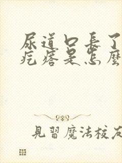 尿道口长了一个疙瘩是怎么回事