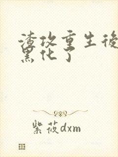 渣攻重生后老婆黑化了