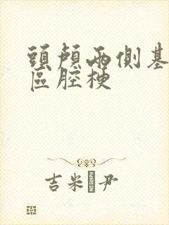 头颅两侧基底节区腔梗