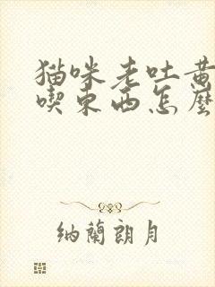 猫咪老吐黄水不吃东西怎么办