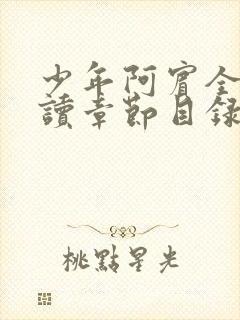 少年阿宾全文阅读章节目录