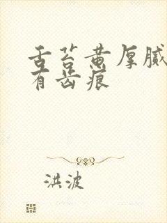 舌苔黄厚腻舌边有齿痕