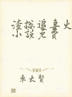 渣总追妻火葬场小说免费