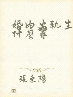 婚内出轨生子算什么罪