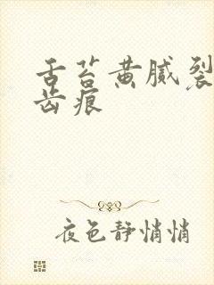 舌苔黄腻裂纹有齿痕封面