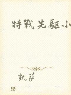 特战先驱小说封面