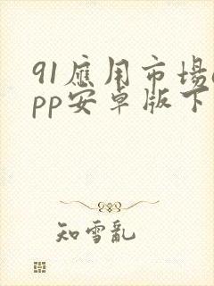 91应用市场app安卓版下载