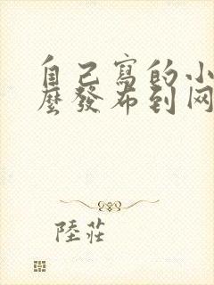 自己写的小说怎么发布到网上赚钱呢