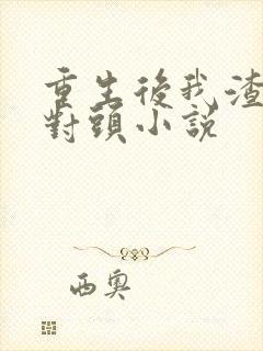 重生后我渣了死对头小说