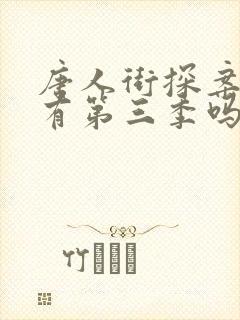 唐人街探案网剧有第三季吗封面