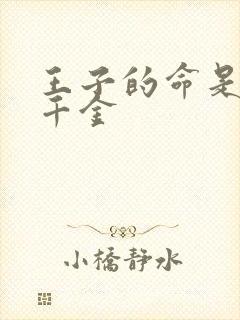 王子的命是恶役千金