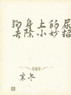 狗身上的尿骚味去除小妙招