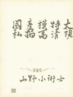 国产模特大尺度私拍高清视频