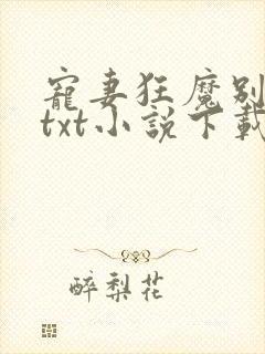 宠妻狂魔别太坏txt小说下载封面