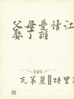 父母爱情江卫国娶了谁封面