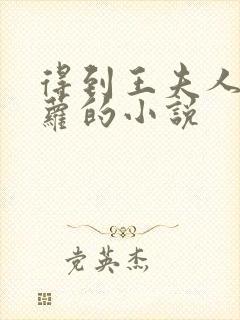 得到王夫人李青萝的小说封面