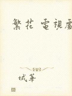 繁花 电视剧