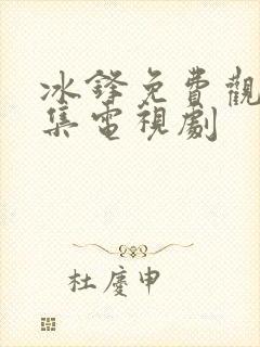 冰锋免费观看全集电视剧