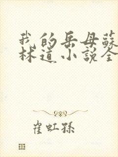 我的岳母苏沛真林道小说全文