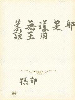 叶无道是哪部小说主角封面