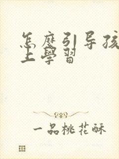 怎么引导孩子爱上学习封面