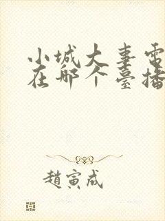 小城大事电视剧在哪个台播放