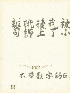 离职后我被前上司缠上了小说封面