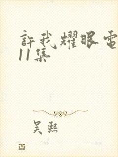 许我耀眼电视剧11集