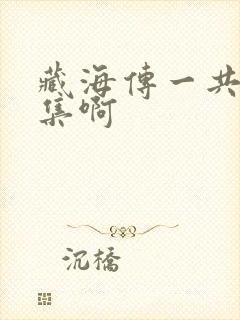 藏海传一共多少集啊