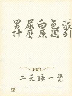 男尿白色液体是什么原因引起的