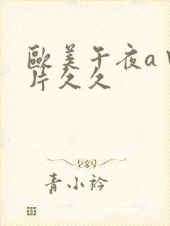 欧美午夜a∨大片久久封面