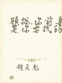 顾总,你前妻就是你要找的人