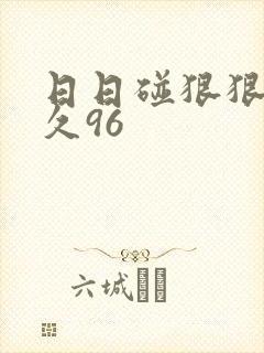 日日碰狠狠躁久久96