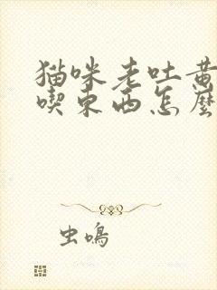 猫咪老吐黄水不吃东西怎么办