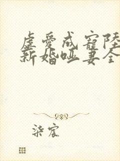 虐爱成宠陆总的新婚哑妻全集